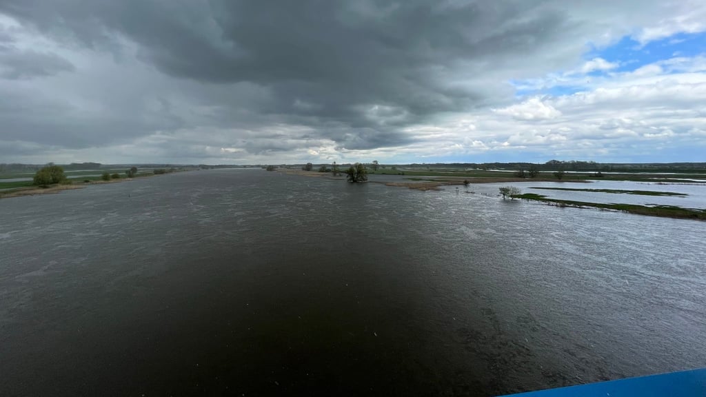 Dieses Bild vom überfluteten Deichvorland an der Elbbrücke in Tangermünde könnte sich in den kommenden Tagen wiederholen.
