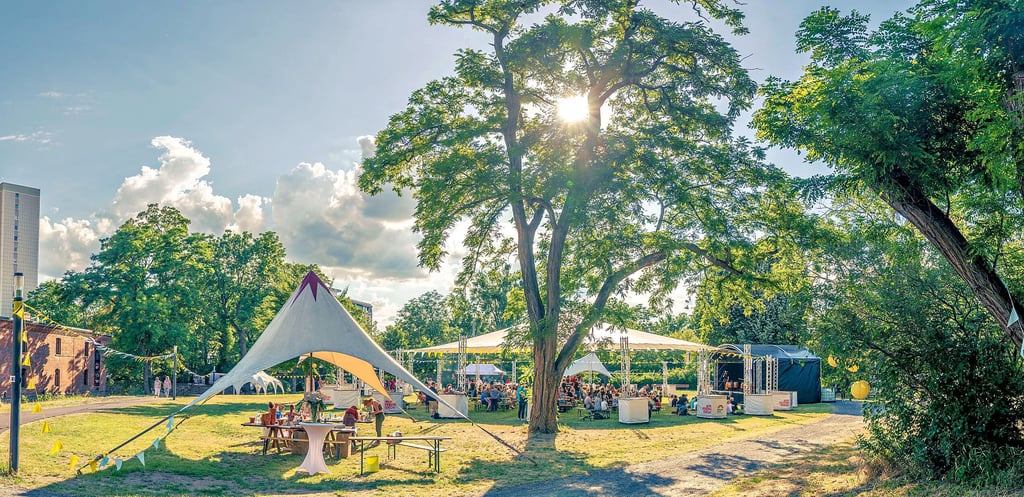Im Hohepfortewallpark in Magdeburg werden viele Outdoor-Veranstaltungen zum Kultur-Picknick organisiert.