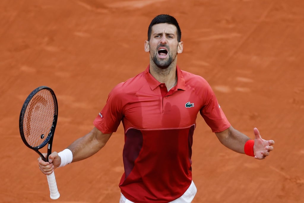Wie schon in der Runde zuvor kämpfte sich Djokovic von einem 1:2-Satzrückstand zurück.