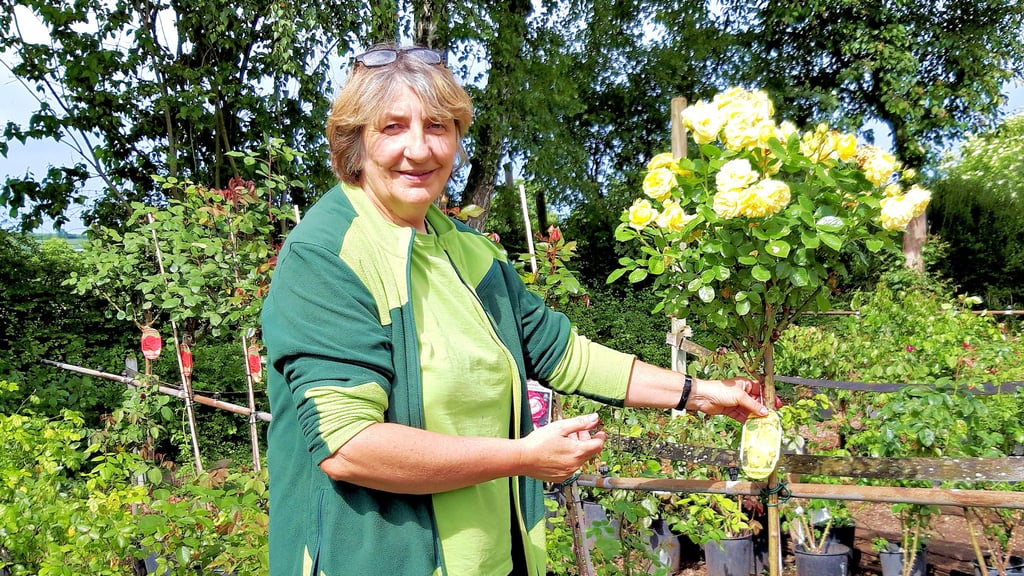 Katrin Ecke ist froh, dass in der Baumschule wenigstens die Rosen vom Hochwasser verschont geblieben sind.