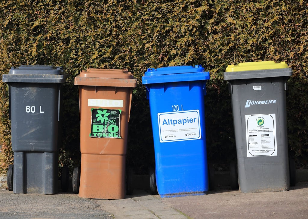 Tonnen für Hausmüll, Bioabfälle, Altpapier und Wertstoffe stehen zur Entsorgung von Abfällen bereit.