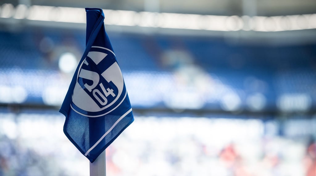 Schalke verpflichtet laut eines Medienberichts Stürmer Remmert aus Osnabrück.