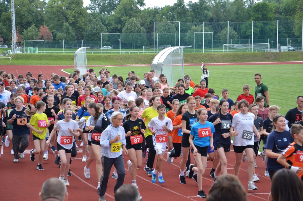 Viele Läufer gingen am Donnerstag beim Benefizlauf des Gymnasiums in Staßfurt auf die Strecke.