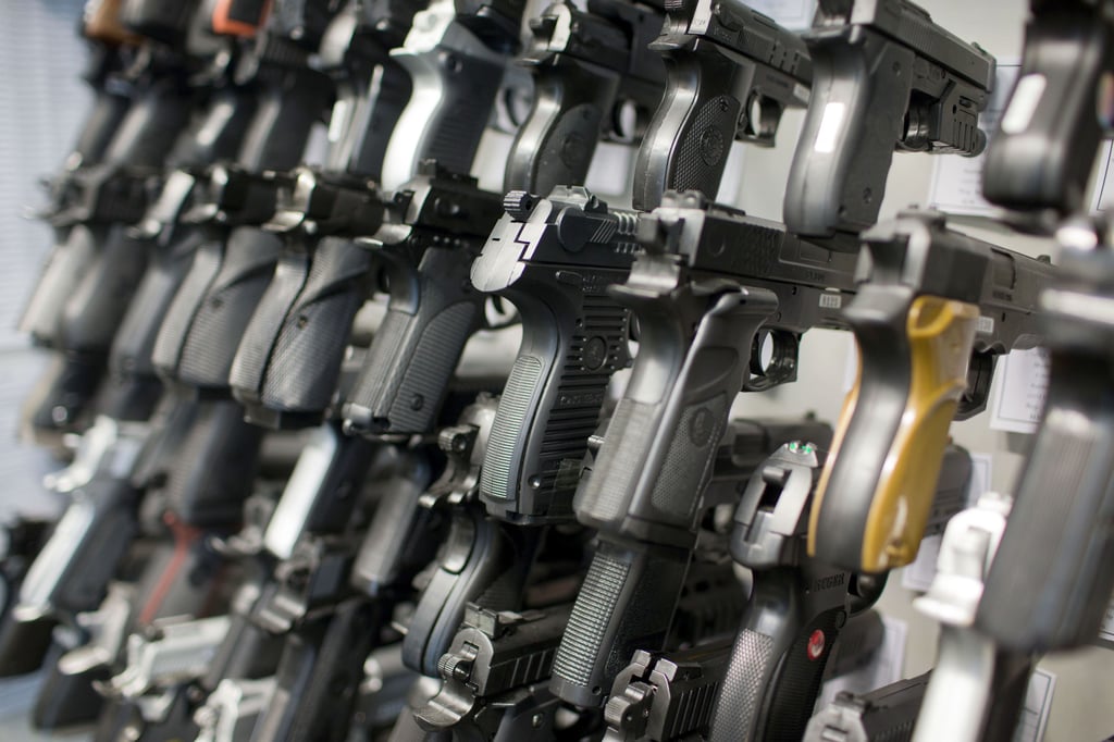 Der Landesrechnungshof hat festgestellt, dass mehrere Waffen an der Polizefachhochschule von Sachsen-Anhalt in Aschersleben nicht auffindbar sind.