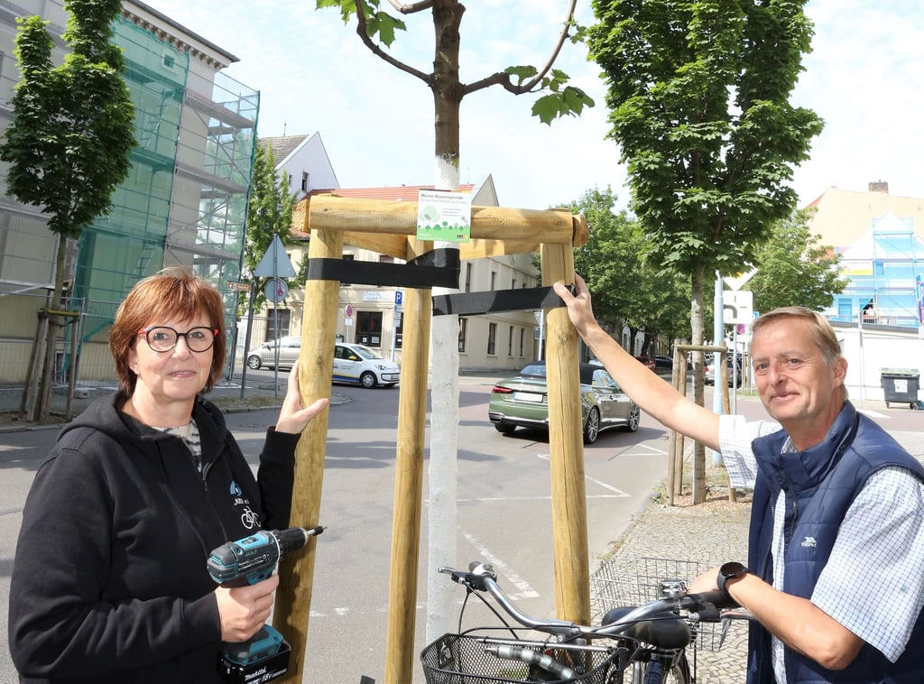 Jens Meißner übergab am Donnerstag die Siegertafel für den am 30. März nahe der Kids-Geschäftsstelle an der Auguststraße gepflanzten Spitzahorn an Kids-Geschäftsführerin Birgitt Weilbeer.