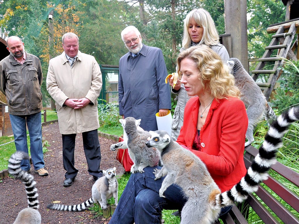 Ein Höhepunkt in der jüngeren Geschichte des Staßfurter Tiergartens war 2012 die Unterstützung mit Lottogeldern in Höhe von 15.000 Euro. Lottofee Franziska Reichenbacher (vorn) brachte damals den Scheck für einen Neubau des begehbaren Katta-Geheges mit.