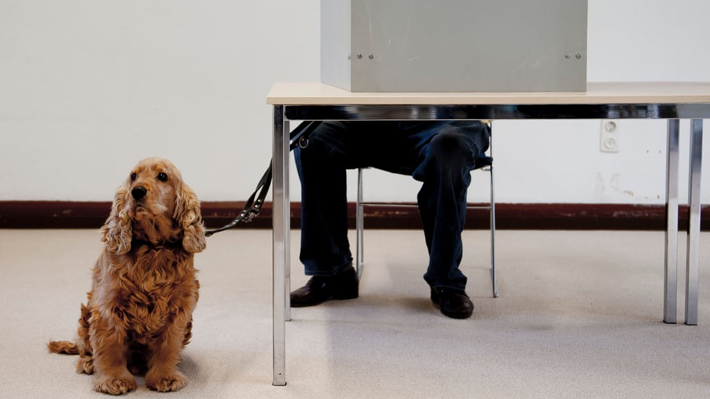 Am 9. Juni 2024 finden in Sachsen-Anhalt die Kommunalwahlen und die Europawahl statt.