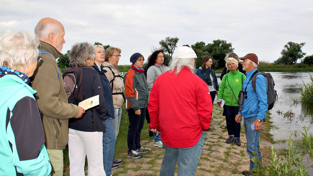 Die Ausflügler in Sachen Vogelkunde wurden am Ufer der Elbe von Ernst Paul Dörfler (r.) begrüßt.