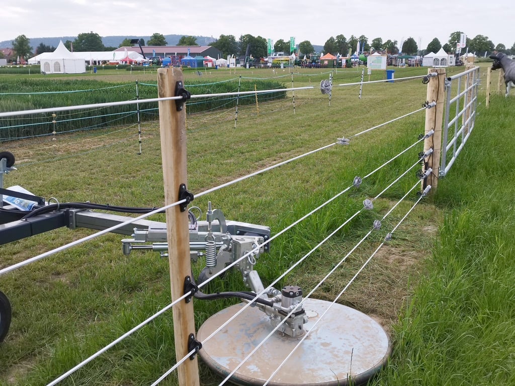 Beim 1. Echemer Zauntag steht der Herdenschutz vor Wolfsangriffen im Fokus.