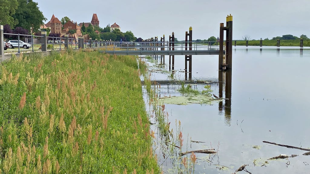Die Elbe in Tangermünde hatte am Freitagmorgen, 7. Juni, einen Pegelstand von 376 Zentimetern.