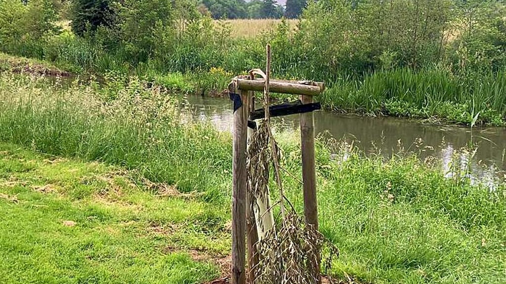 Die abgebrochene Weide