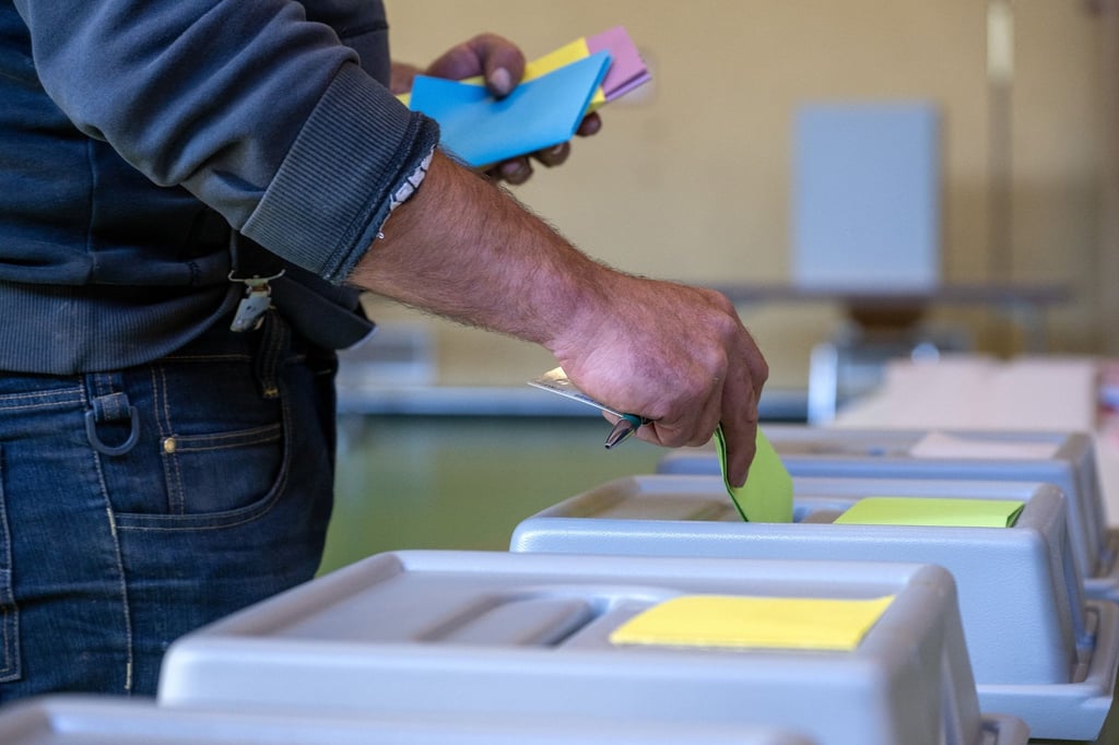 Bei der Europawahl hat die AfD im Burgenlandkreis die meisten Stimmen geholt.