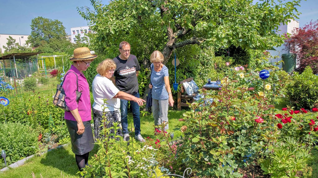 Sylvia Heim (2.v.l. in weiß) führt Besucher am Sonnabend durch ihren Garten. Die Rosen, die sie zeigt, blühten auch schon bei der Vorbesitzerin.
