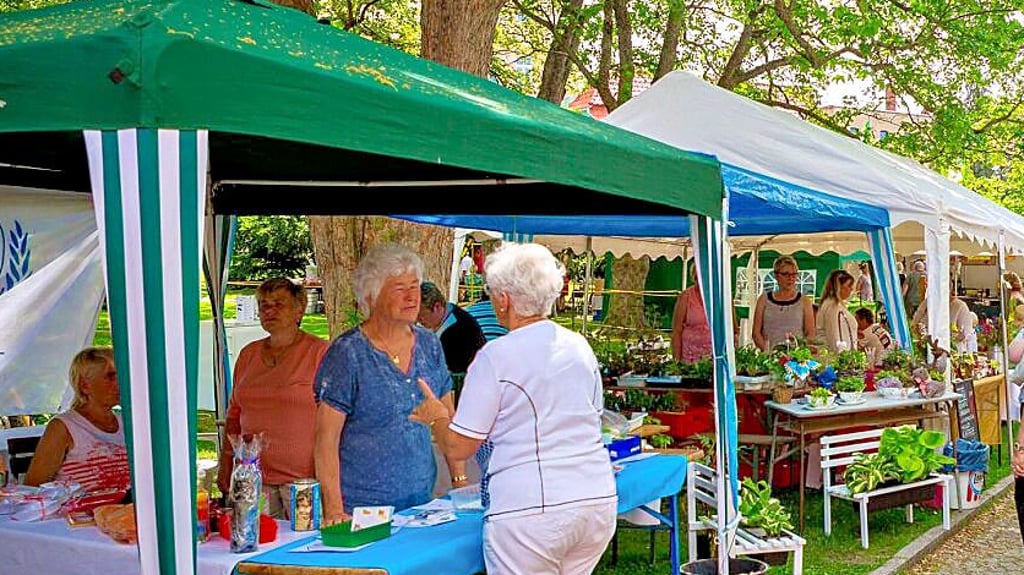 Allerlei Stände laden auch diesmal im Schlosspark ein.