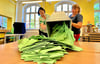 Eine Wahlurne mit den Stimmzetteln für die Kreitstagswahl im Salzlandkreis wird ausgekippt. 