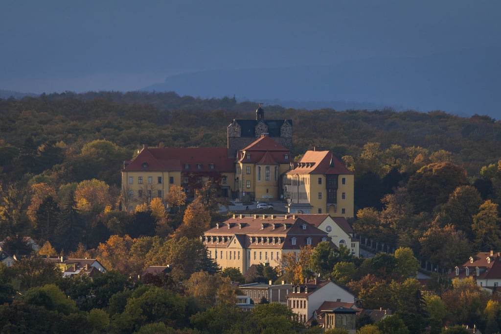 Blick auf das Schloss und das Schlosstheater  in Ballenstedt - bei den Stadtratswahlen am Sonntag hat die AfD die meisten Stimmen bekommen. 