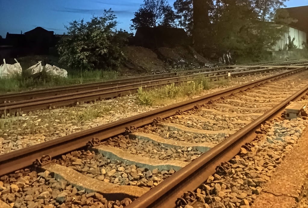 Drei Kinder haben Steine ins Gleis der Bahn bei Frose gelegt.