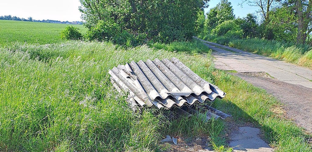 Asbestplatten am Weg nach Dalchau.