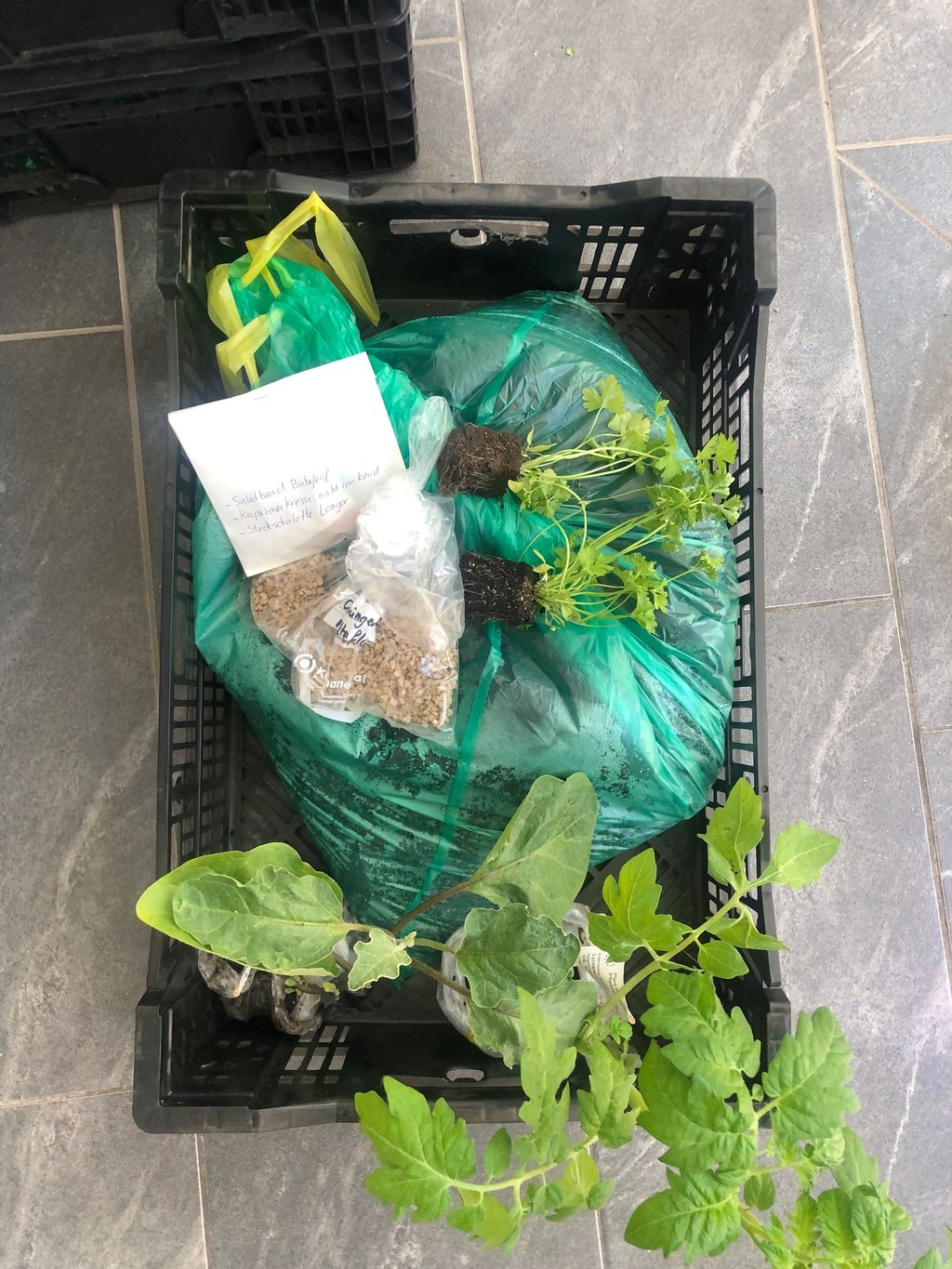 Inhalt des Gärtnerpakets, ausgeteilt von der Gartenakademie Sachsen-Anhalt