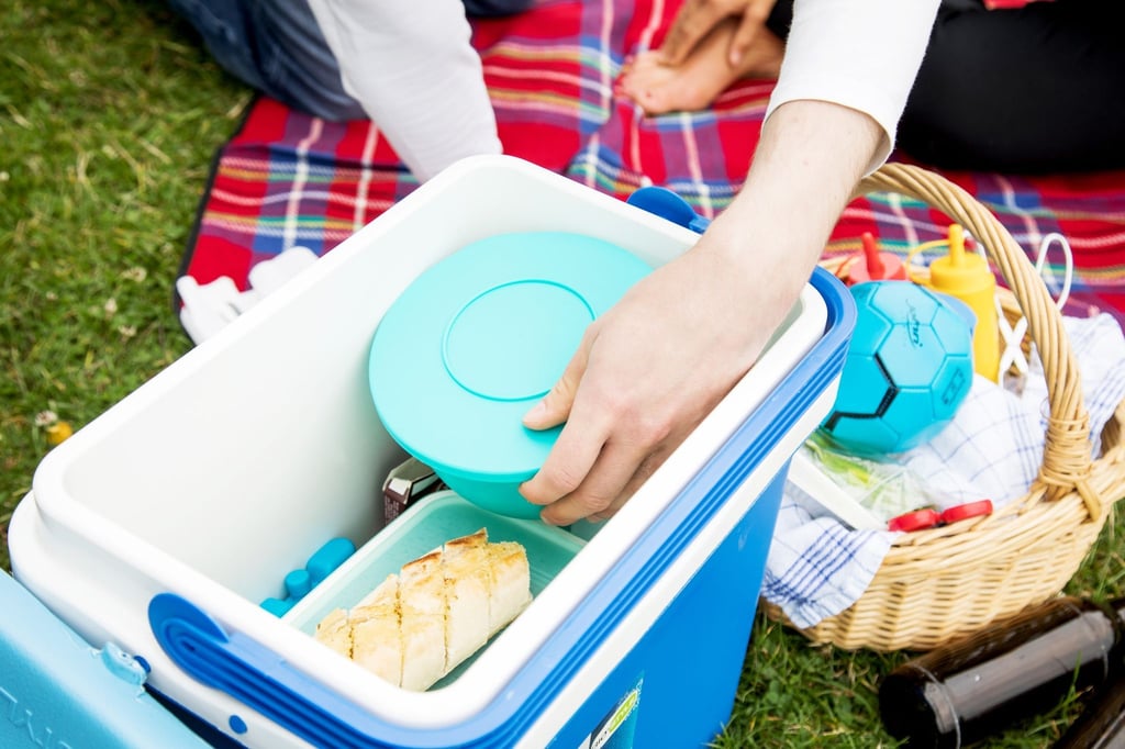 Wer sich im Sommer für ein Picknick entscheidet, sollte eine Kühlbox mitnehmen. (zu dpa: „Die richtige Kühlbox für den Sommer finden“)