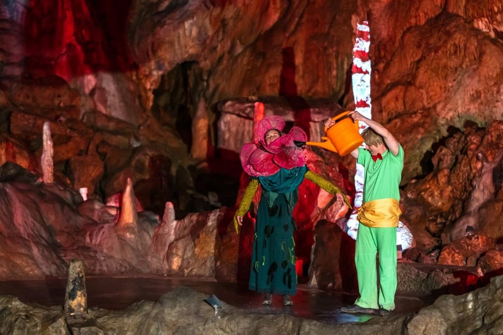 Der kleine Prinz pflegt seine Rose mit Hingabe. Zu sehen im Höhlentheater in der Baumannshöhle.
