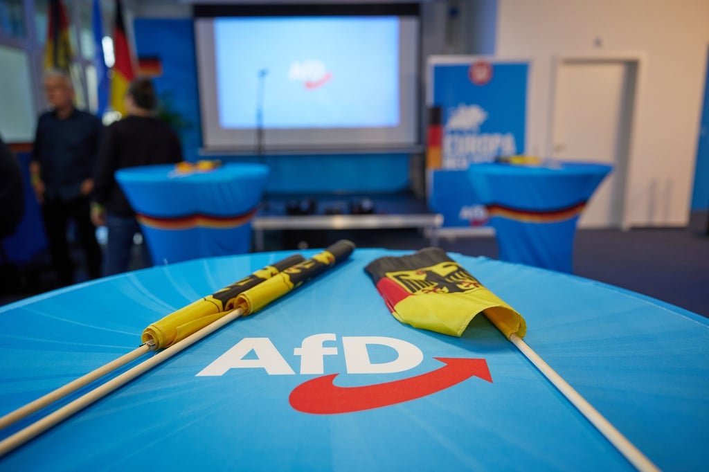 Wie geht es weiter für die AfD im EU-Parlament? Die ID-Fraktion trennte sich kurz vor der Europawahl von der Partei.