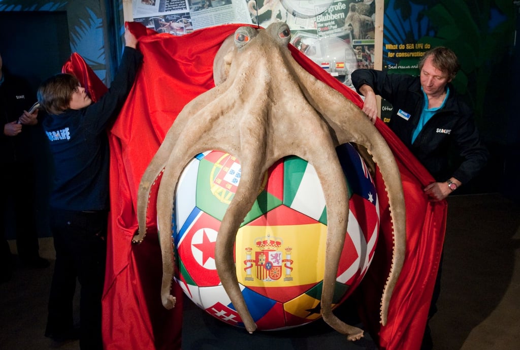 Im Sea Life Oberhausen steht ein Denkmal für den Oktopus Paul.