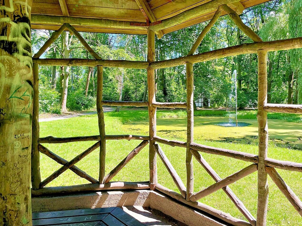 Nicht überall sieht es so schön wie auf dem Foto aus. An machen Stellen muss der „Dschungel Tannenwald“ beschnitten werden. Das soll in den nächsten Monaten passieren.