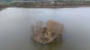 Bäume wachsen auf einer Insel im Großteich See (Aufnahme mit einer Drohne).