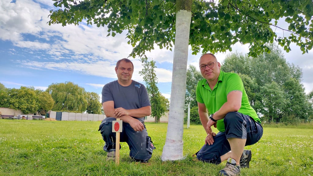 Thomas Osterloh (links) und Olaf Weber haben die beschädigte Linde in Bottmersdorf notversorgt.