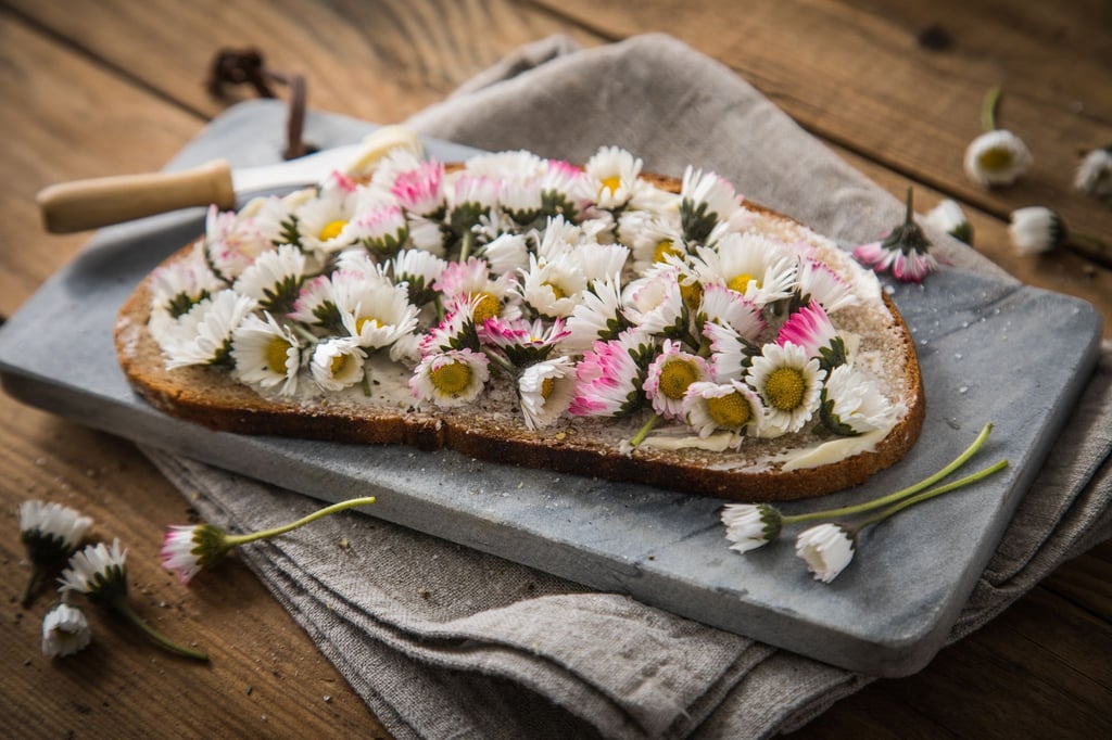 So blüht die Stulle auf: Butterbrot mit Gänseblümchen.