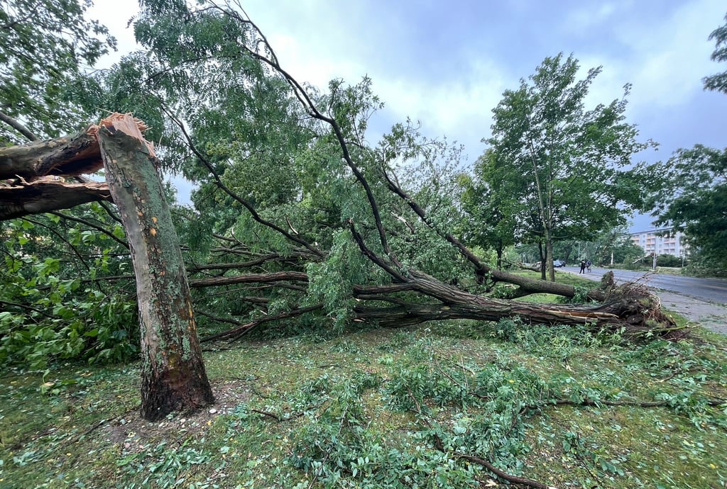 Umgestürzte und abgeknickte Bäume am Rande einer Straße. Im Landkreis Meißen hat ein Unwetter am Dienstag teils erhebliche Schäden verursacht, in Gröditz gab es möglicherweise einen Tornado.