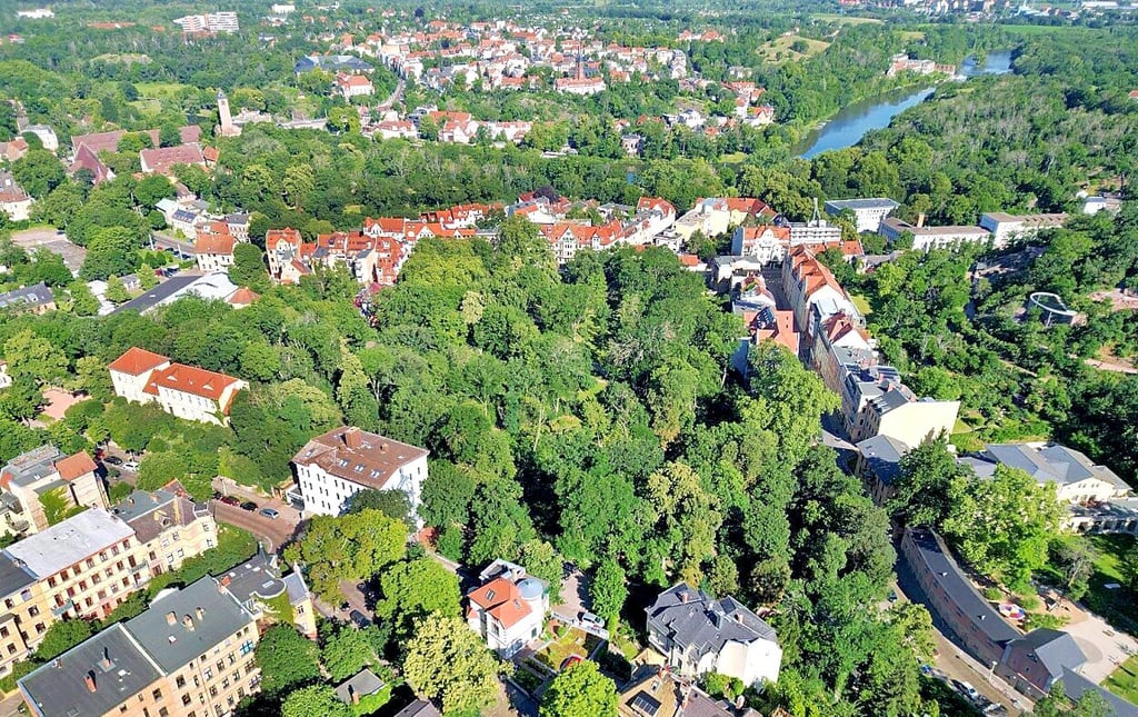 Aus der Luft betrachtet, ist Halles Norden noch schön grün. In der Mitte des Bildes ist Reichardts Garten zu sehen.