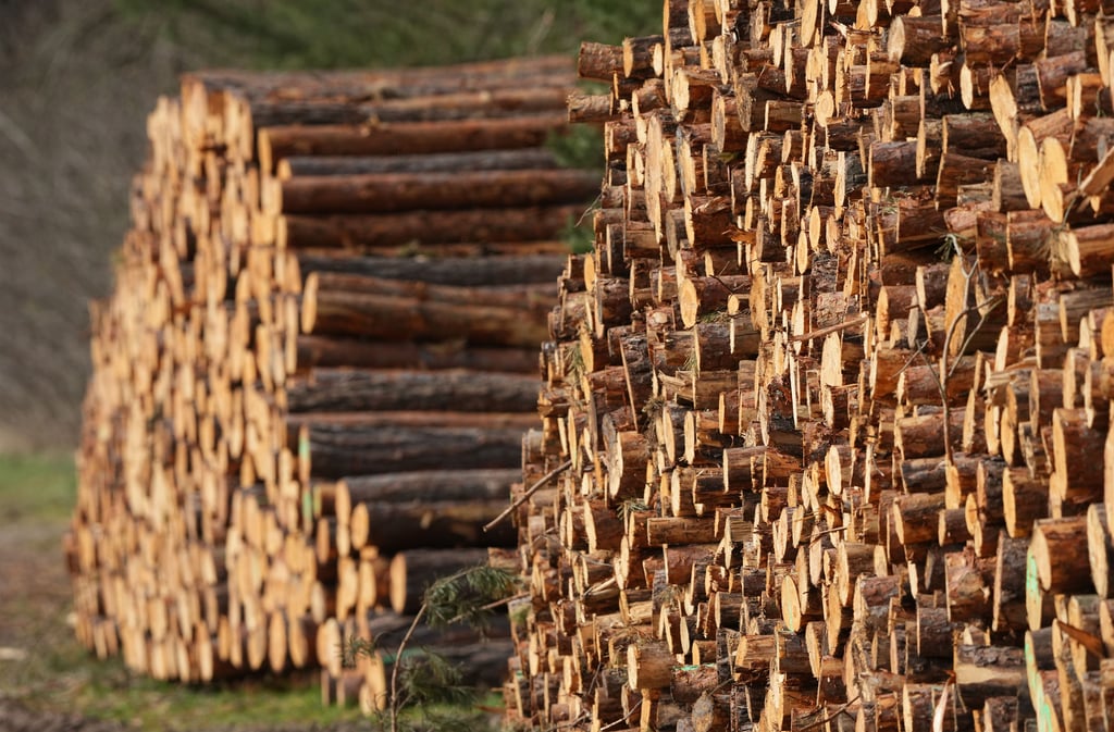 Der Mann hatte bei zörbig mehrere Holzstämme aufgeladen.