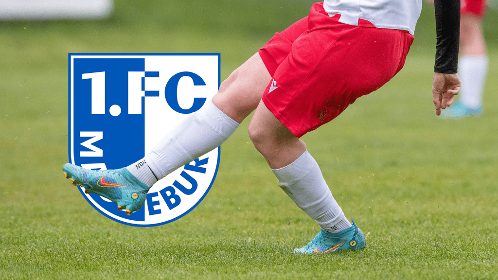 Der 1. FC Magdeburg wird künftig mit seiner Frauenmannschaft in der Regionalliga auflaufen. Die ersten Neuzugänge sollen bei der Weiterentwicklung helfen.
