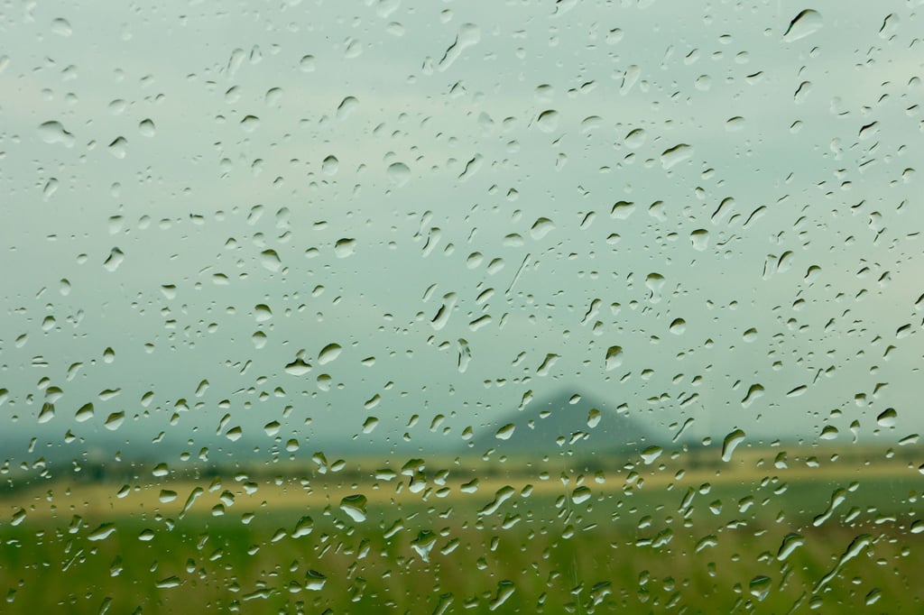 Schauer und Gewitter in Sachsen-Anhalt.