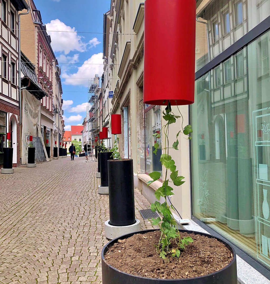 Das erste Kunstprojekt in der Kramerstraße in der Zeitzer Innenstadt nimmt zunehmend Gestalt an. Und man kann der Installation von Michael Krause in diesem Fall sogar im Sinne des Wortes beim Wachsen zusehen.