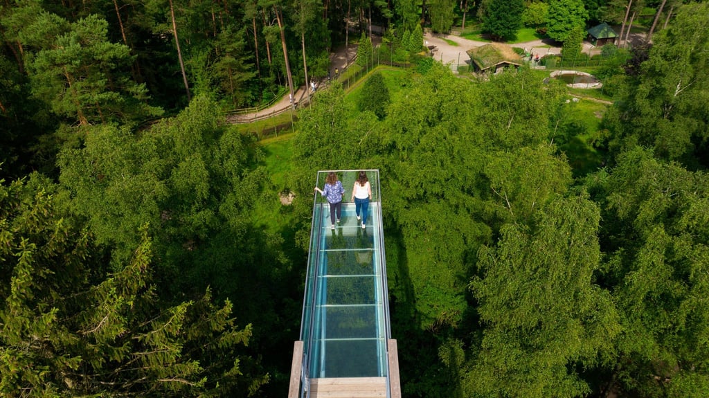 Zwei Frauen gehen auf dem Baumwipfelpfad über den gläsernem Skywalk.
