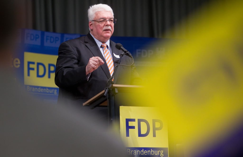 FDP-Politiker Heinz Lanfermann hält eine Rede.