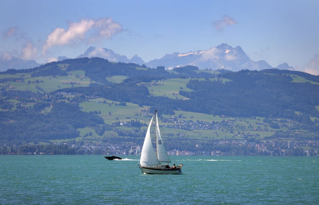 Im Bodensee sind zwei Leichen entdeckt worden.