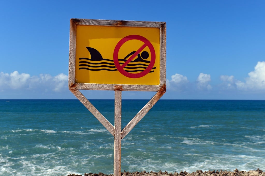 Auf Hawaii ist ein bekannter Surfer von einem Hai getötet worden.