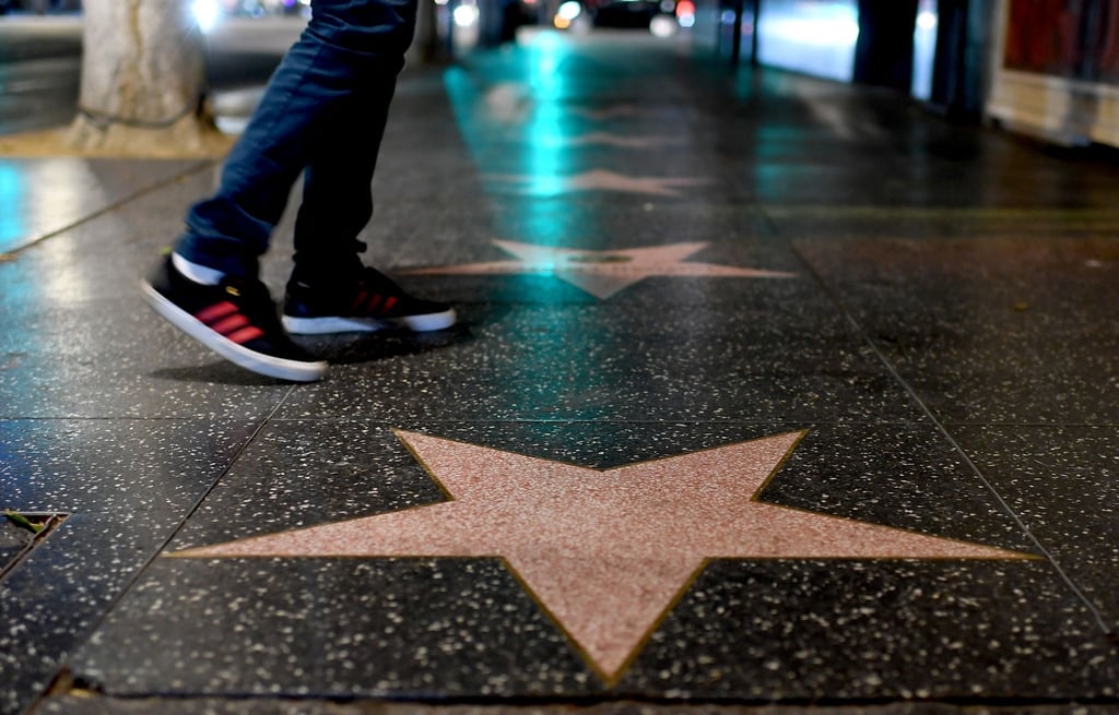 Insgesamt 36 Auserwählte wurden bekannt gegeben, die 2025 mit einem Stern auf dem „Walk of Fame“ in Hollywood geehrt werden sollen.
