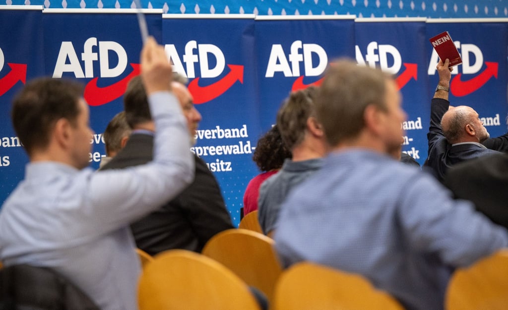 Teilnehmer des Landesparteitags AfD Brandenburg.