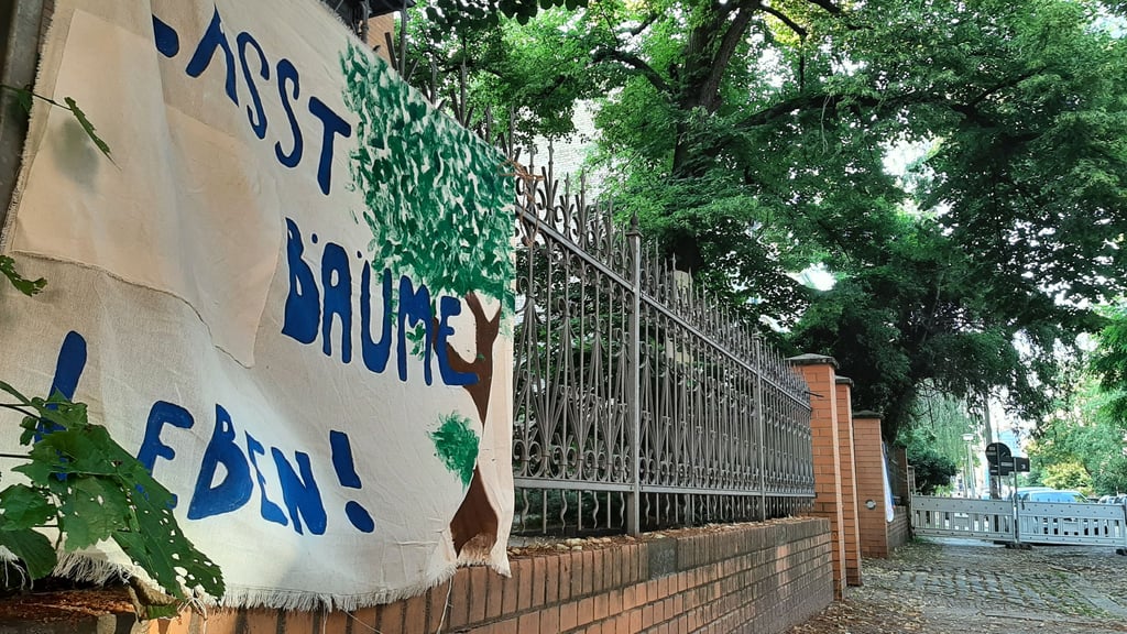 Protest gegen Baumfällung in der Georg-Cantor-Straße