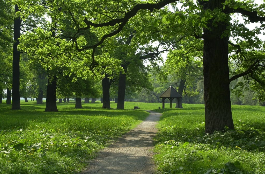 Wäre es nach dem unbekannten Romantiker von 1870 gegangen, würde das so schnöde als „Eichelwald“ bezeichnete Areal zwischen Elbe und Schloss heute „Magdalenen Hain“ heißen. Vermutlich ließ Herzog Heinrich die Eichen vor rund 300 Jahren anpflanzen.
