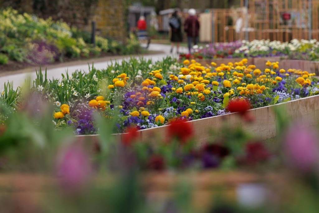 Blick auf ein Blumenbeet auf dem Gelände der Landesgartenschau 2023 in Höxter.