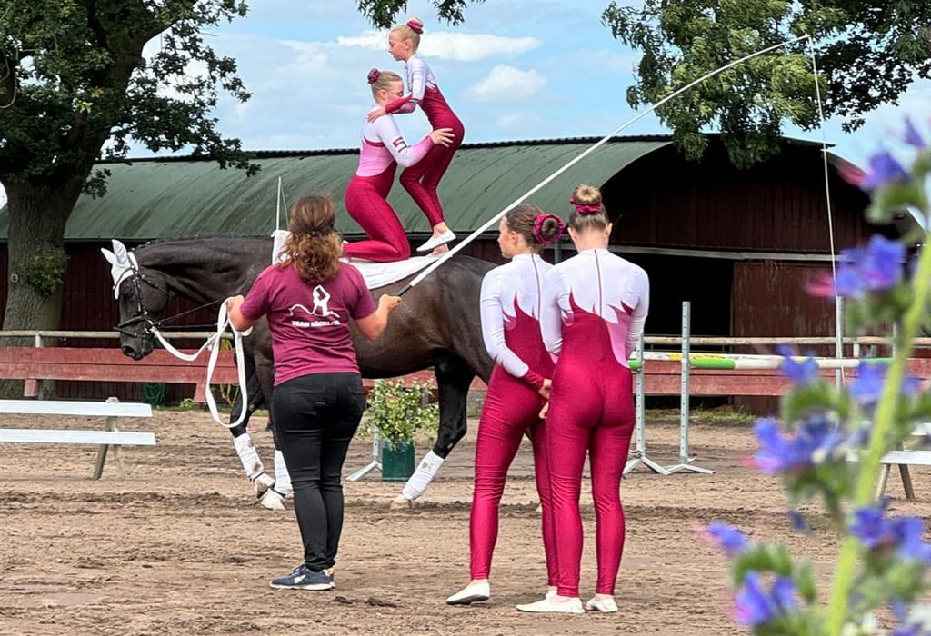 Die Teilnehmer des Voltigierturniers bemühten sich um sportliche Höchstleistungen.