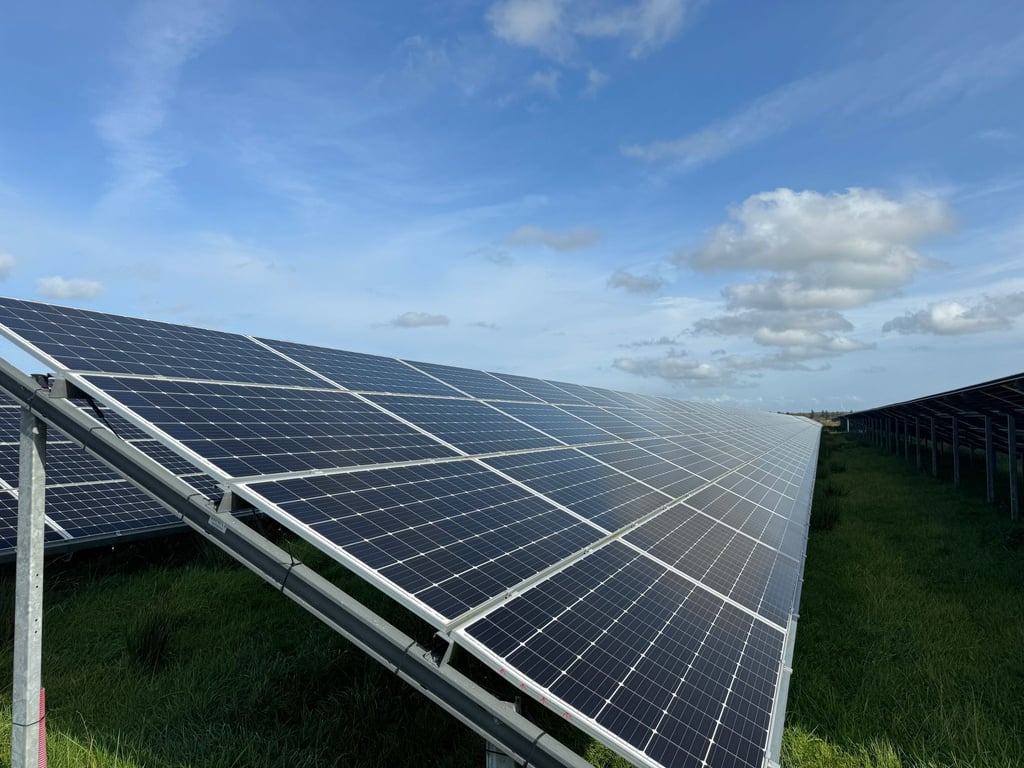 Photoelektrische Module in einem Solarpark.