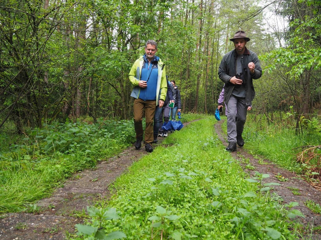 Wandern auf dem Kolonnenweg: Unterwegs auf dem „Grünen Band“ unweit von Rotheul.
