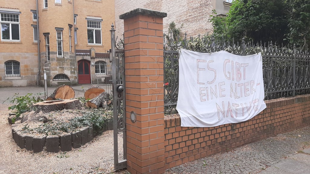 Gefällte Linde in der Georg-Cantor-Straße: Das Protestbanner gegen die Fällung hängt noch am Zaun.